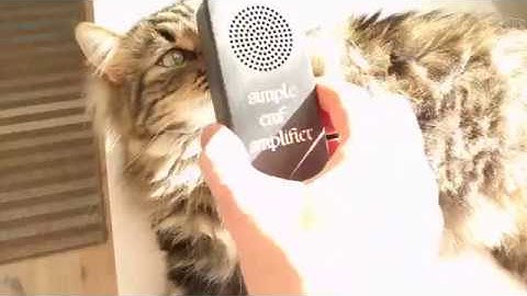 EMF amplifier - Tauno Erik