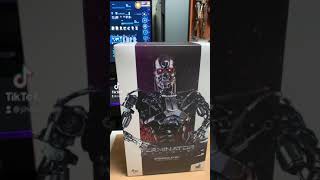 Hottoys hottoys - MMS352 terminator genesis endo skeletone