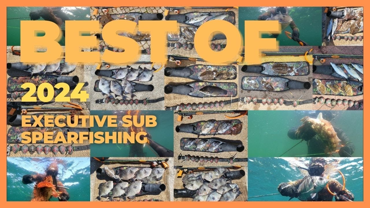 Executive Sub - Best of 2024 (Pesca Submarina Portugal)