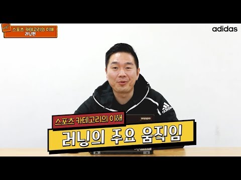 [러닝 편]아디다스 카테고리 이해