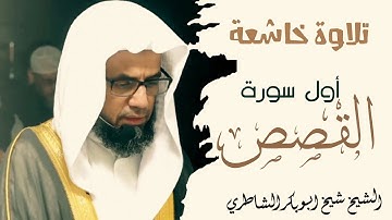 الشاطري 2024 | تلاوة مبكية للشيخ شيخ أبو بكر الشاطري | ما تيسر من سورة القصص | في الصلاة