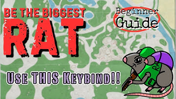 Loot Like a PRO - 5 Stash & looting tips | Beginner Series - Escape From Tarkov