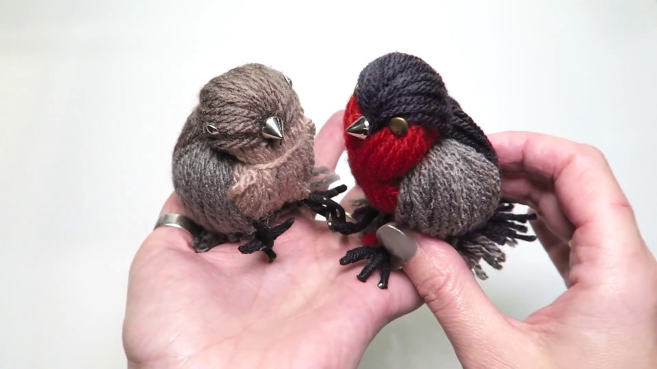 wool birds