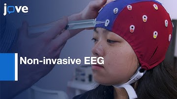 Cortical Connectivity Modeling using Non-invasive EEG | Protocol Preview