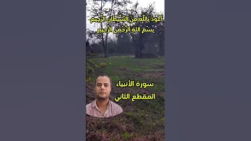 سورة الأنبياء المقطع الثاني  .. محمود الجزار