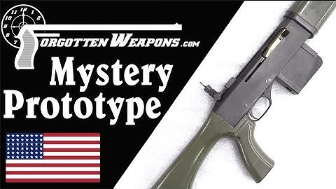 Winchester Mystery Prototype: Melvin Johnson does Project SALVO?