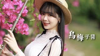 The Dark Plum Sauce - 李榮浩