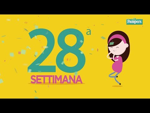 Video: 28 Settimane Di Gravidanza: Feto, Secrezione, Pancia