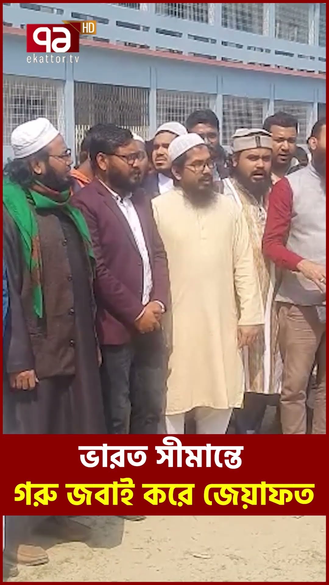 ভা/র/ত সীমান্তের কাছে গরু দিয়ে জেয়াফত #trandingnews #modi #india #border #ekattortv