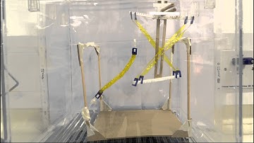 Newcastle University (Experimental Architecture)