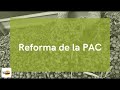 Reforma de la PAC