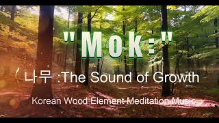 Korean Traditional Meditation Music — The Energy of Wood (木, Mok)🎬 Opening (Intro) screenshot 5