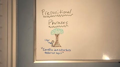 Latin Prepositions and SID SPACE