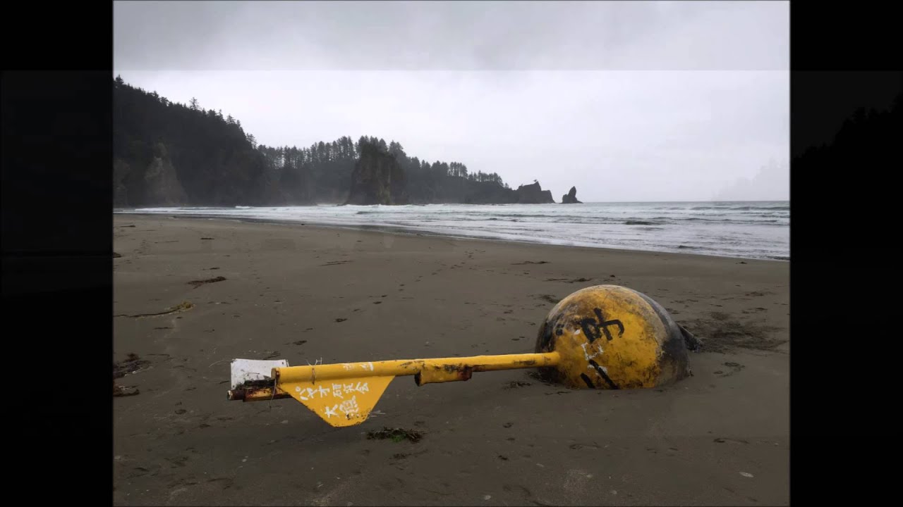 One Year Exploring the Pacific Northwest