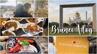 Brunei Vlog | Farah Coming Back To Malaysia | Unboxing Baggage From Brunei | FF Fusion
