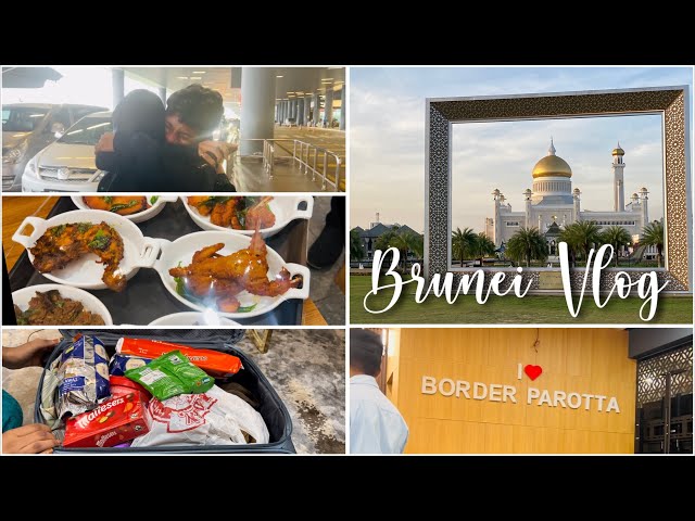 Brunei Vlog | Farah Coming Back To Malaysia | Unboxing Baggage From Brunei | FF Fusion class=