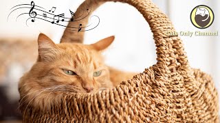 Calming Music for Cats - Peaceful Piano Music with Cat Purring Sounds