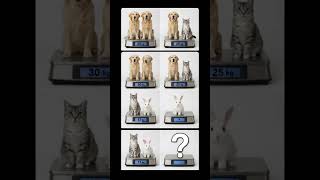Dog + Cat + Rabbit Puzzle 🧠 | Can You Solve This? 🤔 #puzzle #iqtest #trendingshorts #mixplate