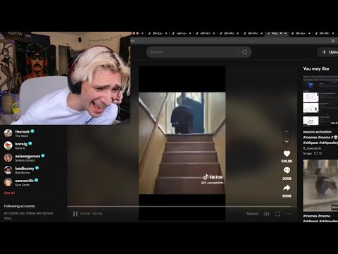 xQc dies laughing