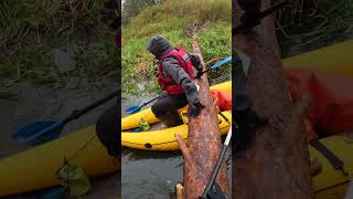 🪵 БЛОКПОСТ НА РЕКЕ! Перелаз через бревно на байдарке 🛶 #байдарка #водныйтуризм #сплав #беларусь