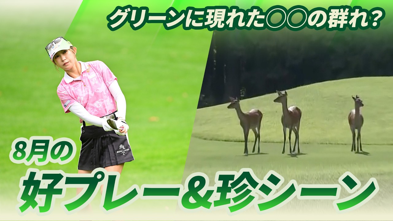 【グリーンに現れたのは◯◯の群れ？🦌】8月の好プレー＆珍シーン集