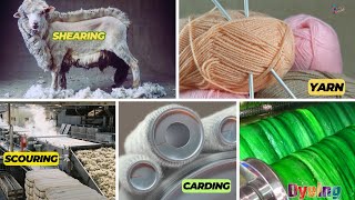 Wool Yarn Manufacturing Process - From Sheep To Skein