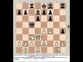 Stockfish 18 vs Akkad 0.52b | King's Pawn: Sicilian Richter Rauzer Variation #chess