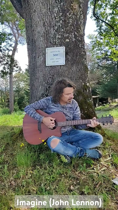 Alessandro Gatti - Imagine (John Lennon cover) Acoustic Version #music  #guitar