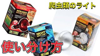 【保温ライト】爬虫類に使用するライトの種類と使い分けの仕方を説明します！