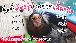 ทุกอย่างที่ควรรู้เกี่ยวกับลิงจิ๋ว !! 🐵🌈