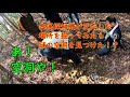 金属探知機が反応した場所を掘ってみたら謎の空洞が出てきた！！！  ~金属探知機でお宝さがし~