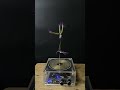 Tesla coil + Plants