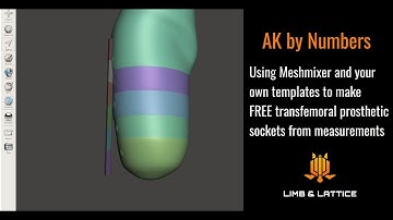 Transfemoral Prosthetic Sockets in Meshmixer