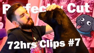 Perfectly Cut 72hrs Clips #7