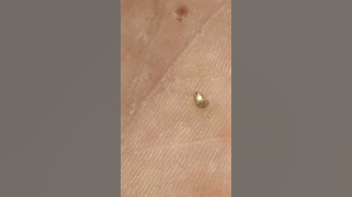 Ciao a tutti, non ci posso credere, guardate ieri cosa ho trovato vicino al letto di un fiume