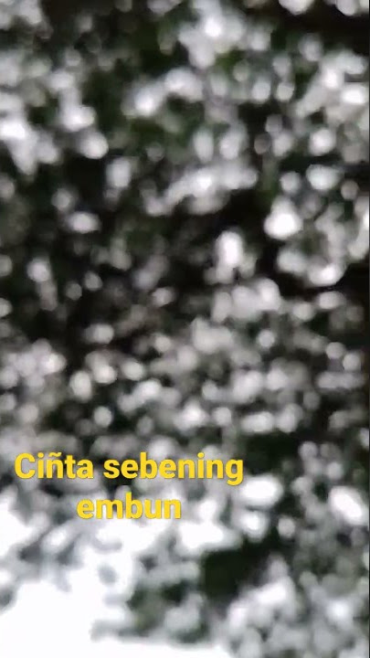 Ebiet G .Ade - cinta sebening embun