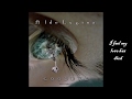 Aldo Lesina - Goodbye (Extended Power Mix) New Italo Disco Lyrics Video