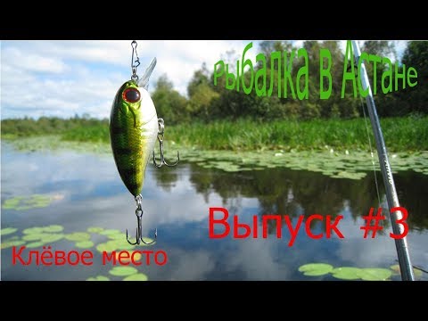 РЫБАЛКА В АСТАНЕ! КЛЕВОЕ МЕСТО! ВЫПУСК#3