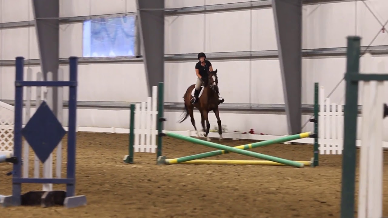 Equestrian Team at Worcester State YouTube