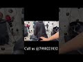 Ladies Hair Patch in Kolkata | Hair replacement in kolkata & Durgapur | No1 Hair Replacement centre