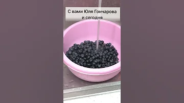 Голубика заморозка