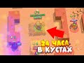 24 ЧАСА СИЖУ В КУСТАХ BRAWL STARS