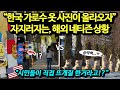 "시민들이 직접 뜨개질 한거라고!?" 한국 가로수 옷 사진이 올라오자 자지러지는, 해외네티즌 상황