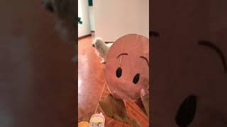 cuquin la cena