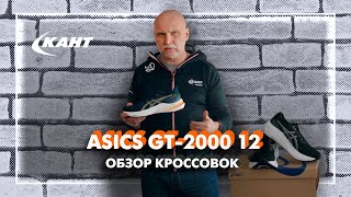 Обзор кроссовок Asics GT-2000 12