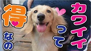 YouTube video yqg6DiW2Row