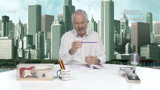 Programa 262