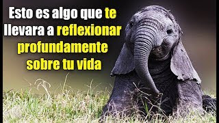 La Triste Historia  Del Elefante Encadenado