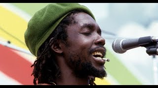 Peter Tosh - Bush Doctor by Peter Tosh