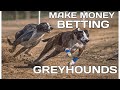 GREYHOUND RACING: How to make money TODAY! Professional gambler explains.